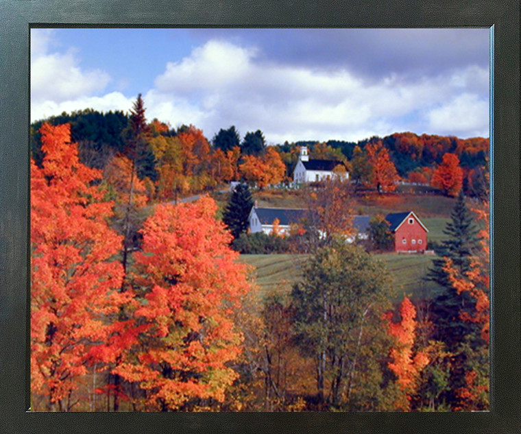 Autumn Red Trees Scenery Landscape Picture Wall Decor Espresso Framed Art Print (20x24)