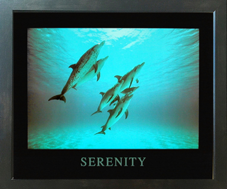 Serenity Dolphins Ocean Underwater Animal Espresso Framed Picture Art Print (20x24)