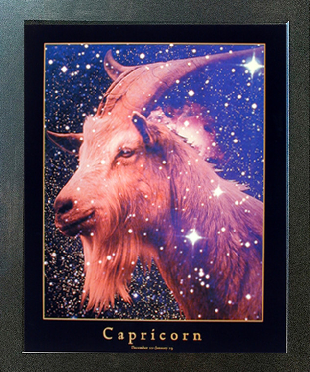 Astrology Capricorn Dec 23 -Jan 19 Zodiac Espresso Framed Picture Art Print (20x24)