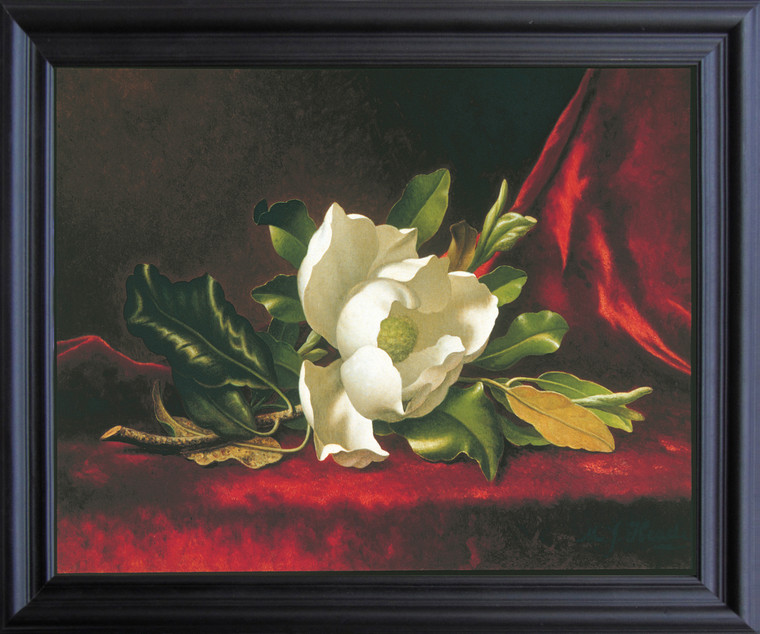 White Magnolia Flower Floral Grandiflora Martin Heade Fine Wall Decor Black Framed Art Print Poster (19x23)