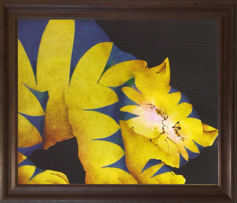 Yellow Fat Cat Room Wall Decor Brown Rust Framed Art Print Poster (19x23)