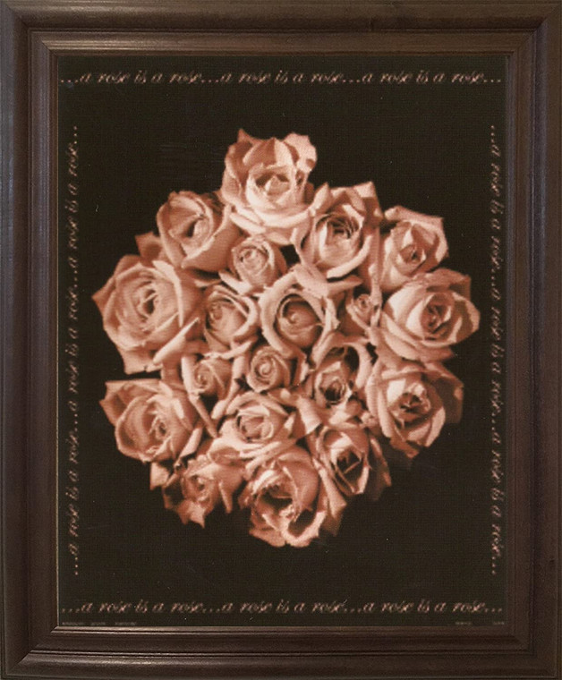 Bunch of Roses Still Life Flower Floral Wall Decor Brown Rust Framed Art Print Poster (19x23)