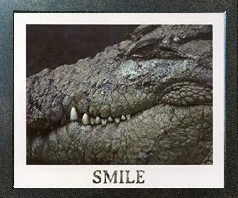 Poster Of Wild Alligator Crocodile Animal Wall Decor Espresso Framed Art Print Poster (18x24)