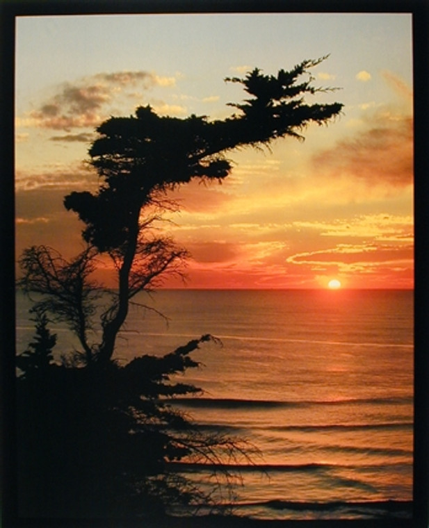 Ocean Sunrise At the Lone Cypress Point Landscape Nature Tree Wall Decor Art Print Poster (16x20)