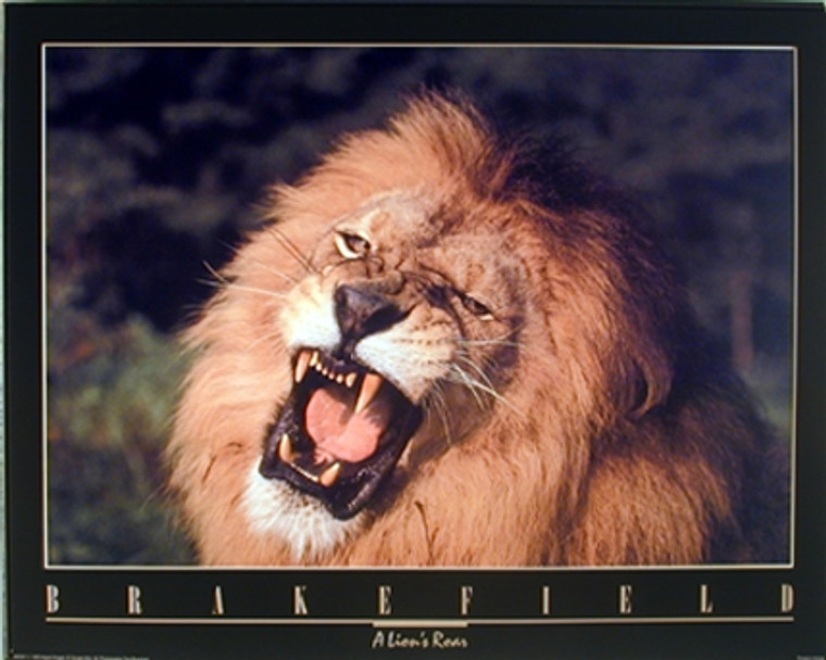 Wild African Lion Roar Close-up Animal Wall Decor Painting Art Print Poster (16x20)