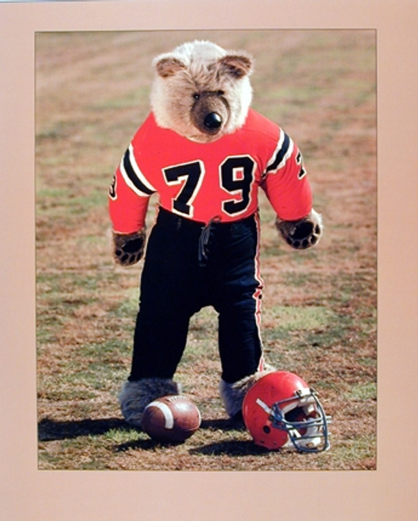 Teddy Bear Football Player Ron Kimball Art Print Poster 16x20