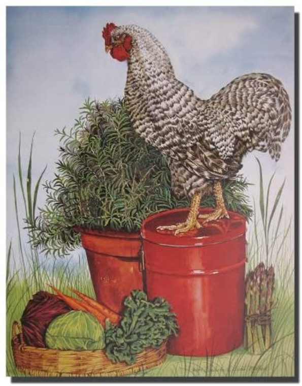 Chicken Rooster Barred Plymouth Rock Kitchen Wall Decor Picture Art Print (8x10)