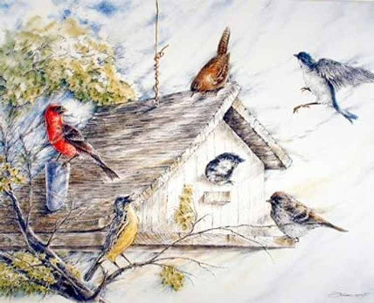 Birds At Birdhouse Wild Animal Nature Wall Decor Picture Art Print (8x10)