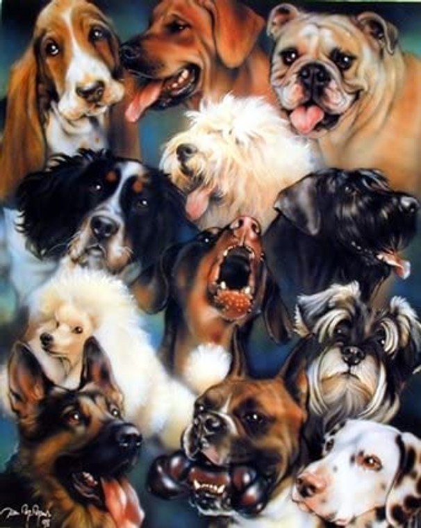 Collage of Dogs Breeds Cute Animal Kids Room Wall Decor Art Print Picture (8x10)