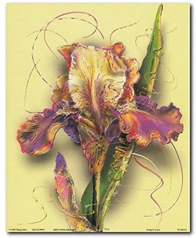 Tulip Flower Floral Fine Wall Decor Art Print Poster (8x10)