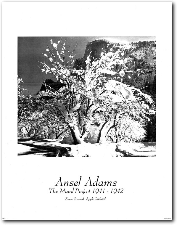  Picture Wall Art  Snow Covered Apple Orchard Decor Print Posters (22x28)