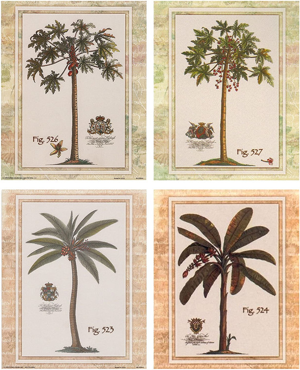  Vintage Tropical Palm Tree Picture Landscape Contemporary 16x20 Four Set Wall Decor Art Print Poster