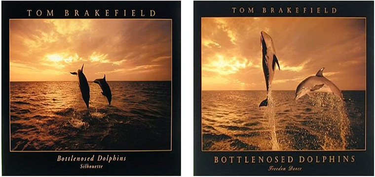  Bottlenose Dolphins Wall Decor Freedom Jumping Dance At Ocean Sunset Picture 16x20 Two Set Art Print Posters