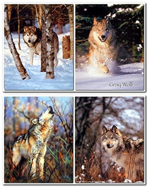 Wild Grey Wolf Howling Wildlife Snow Animal Picture Four Set 8x10 Wall Decor Art Print Posters