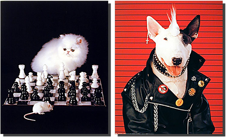  Funny Cat, Mouse and Dog Two Set 8x10 Animal Picture Wall Decor Art Print Posters