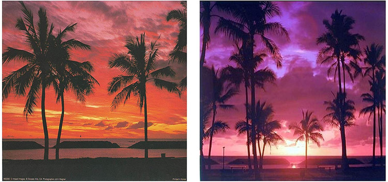  Ocean Beach Sunset & Palm Trees Landscape Two Set Wall Decor Art Print Poster (8x10)