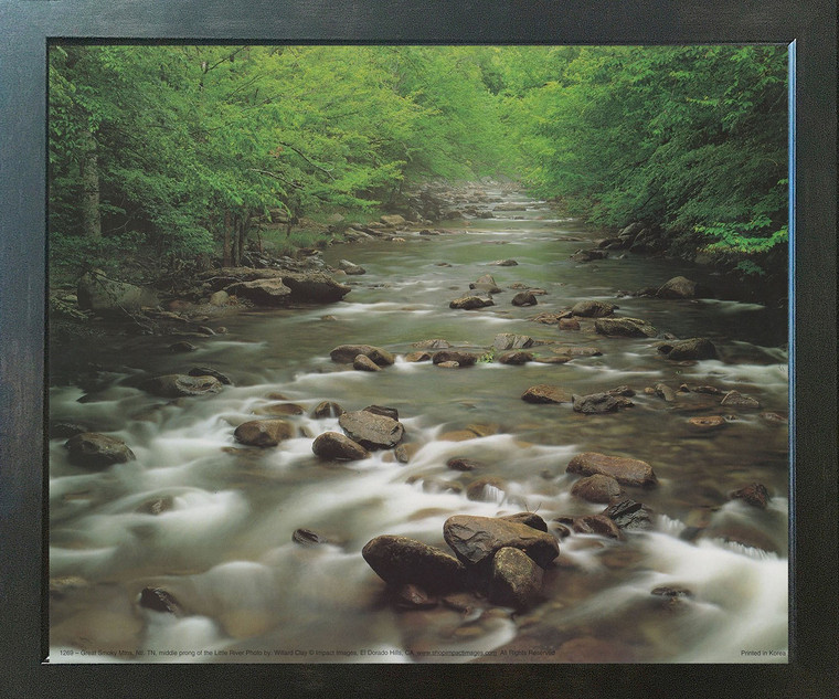 Wall Decor Great Smoky Mountain Middle Prong of The Little River National Park Expresso Framed Art Print Poster (18x22)