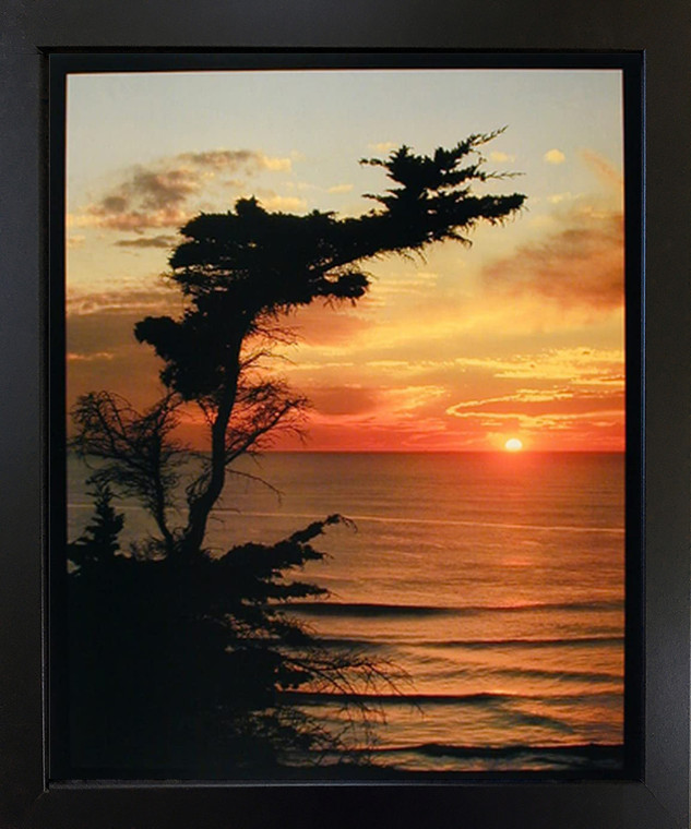 Scenery Wall Decor Picture Cypress Coastal Sunrise Ocean Landscape Nature Black Framed Bedroom Art Print Poster (18x22)