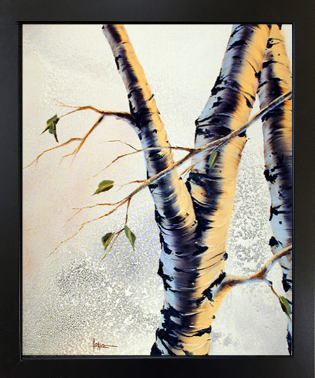 Nature Scenery Poster Framed Wall Decor Forest Aspen Tree Black Picture Art Print (18x22)