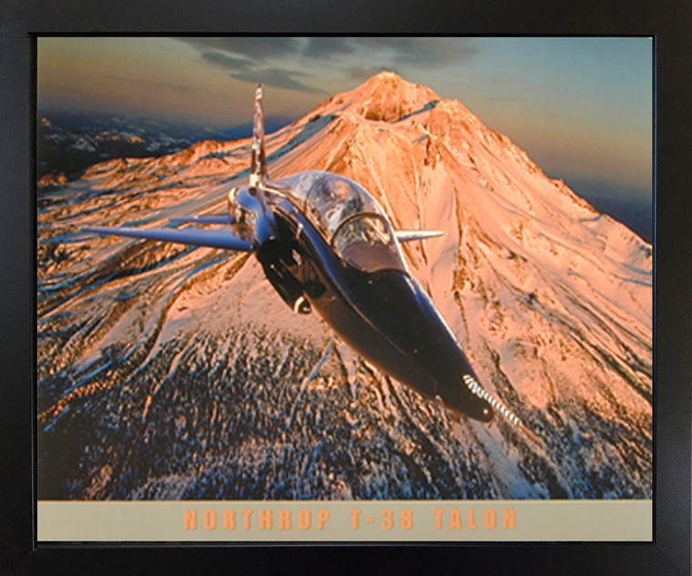 Wall Decor Military Northrop T-38 Talon Aviation Aircraft Black Framed Picture Art Print (18x22)