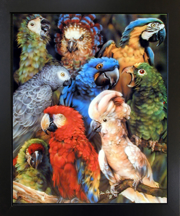 Wall Picture Decor Collage Tropical Parrots Birds Animal Black Framed Art Print (18x22)