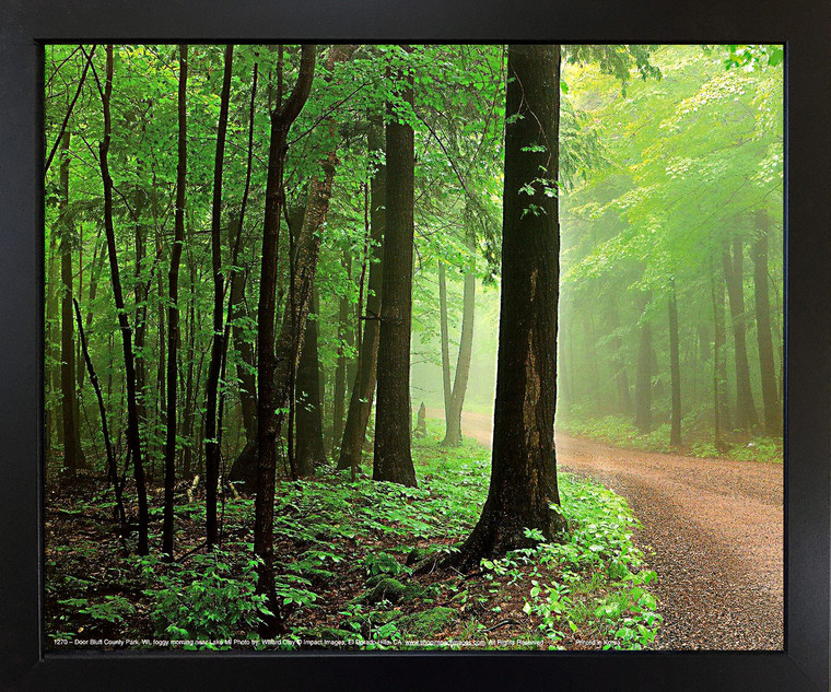 Scenery Door Bluff County Park Wisconsin Forest Paths Tree Black Framed Wall Deco Picture Art Print (18x22)