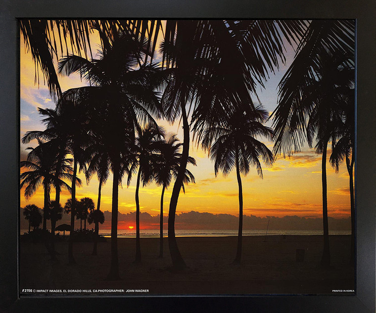 Tropical Sunset & Palm Tree Landscape Scenery Wall Black Framed Wall Decor Picture Art Print (18x22)