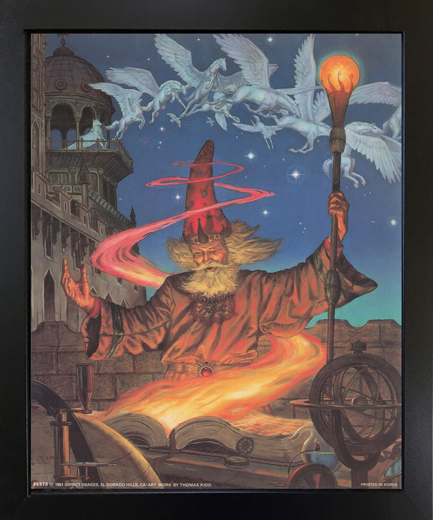 Framed Wall Decoration Magical Sorcerer Wizard At Night With Fantasy Pegasus Black Framed Picture Art Print (18x22)