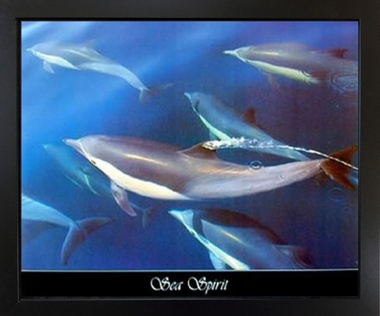 Dolphin Sea Spirit Underwater Animal Home Wall Decor Black Framed Art Print Picture (18x22)