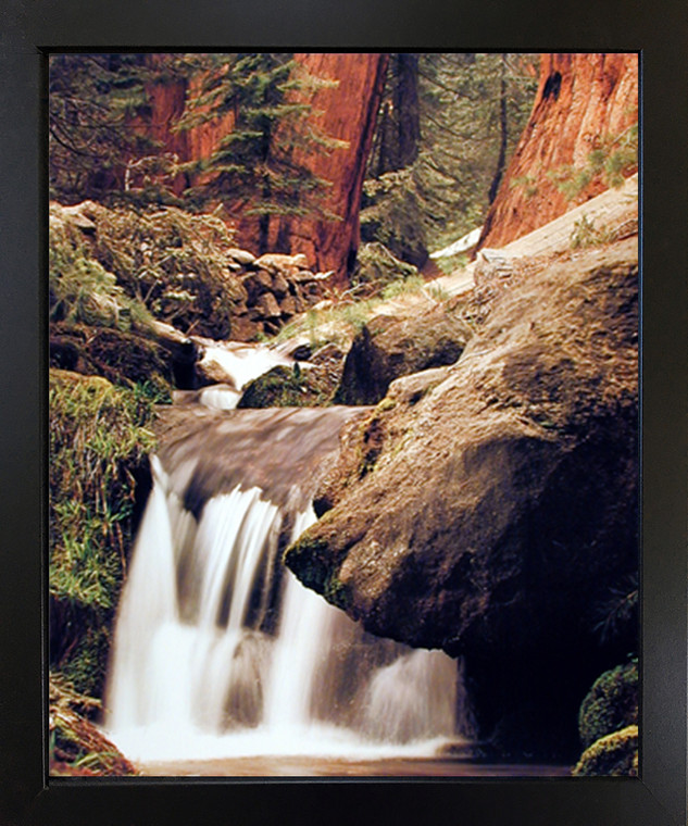 Forest Scenery Framed Wall Decoration Redwood Waterfall Stream Black Frame Art Print Poster (18x22)