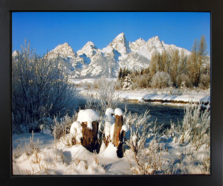 Landscape Scenery Black Framed Wall Living Room Decor Grand Teton Covered with Snow Under Willow Tree Art Print Poster (18x22)