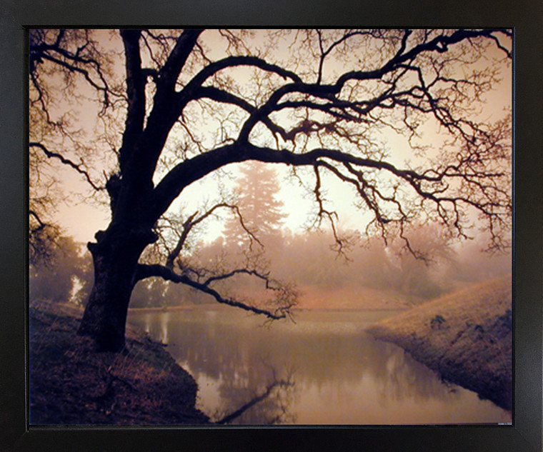 Golden Sunset Pond and Tree Landscape Wall Decor Black Framed Picture Art Print(18x22)