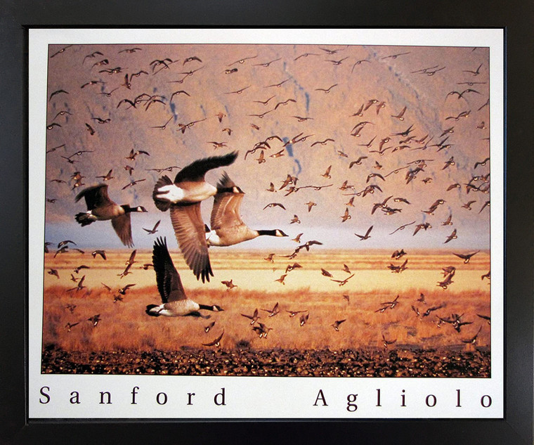 Black Framed Wall Decor Canada Geese Birds Flying Animal Framed Art Print Picture (18x22)