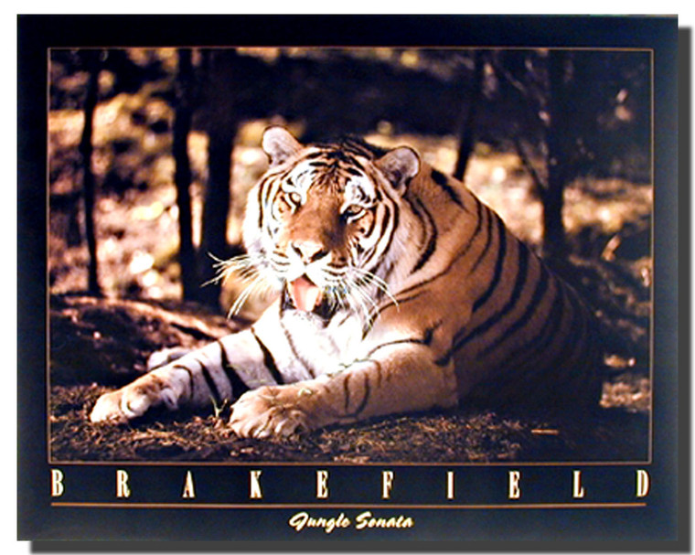 Bengal Tiger Poster Art