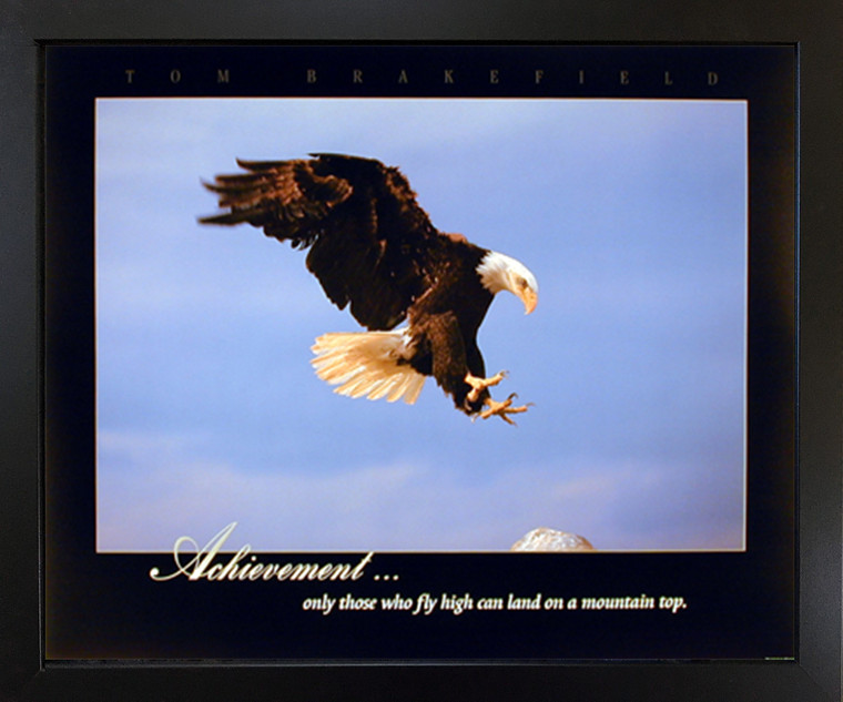 Bald Eagle Diving Landing Achievement Wild Bird Animal Wall Decor Black Framed Art Print Picture (18x22)