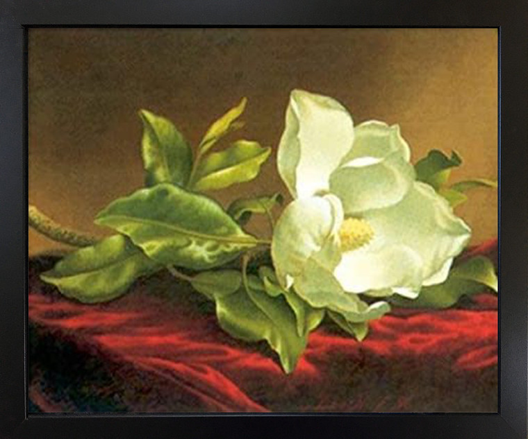 White Magnolia Grandiflora Heade Black Framed Wall Decor Art Print Picture (18x22)