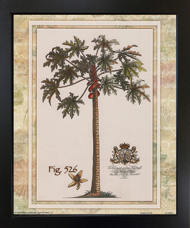 Tropical Palm Tree Vintage Fig 526 Black Framed Wall Decor Art Print Picture (18x22)