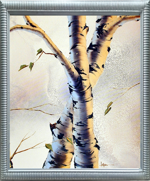 Framed Wall Decor Picture Aspen Forest Birch Trees Nature Silver Art Print (20x24)