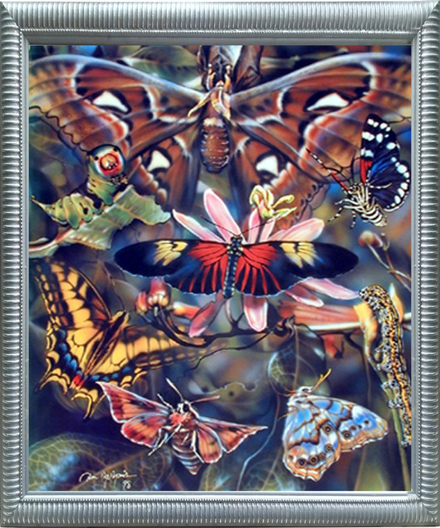 Impact Posters Gallery Butterflies Insects Collage Animal Nature Educational Silver Art Print Framed Wall Decoration Picture(20x24)