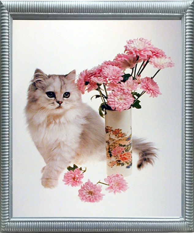 Impact Posters Gallery White Cute Cat and Carnations Kitten Flower Silver Framed Wall Decor Picture Art Print (20x24)