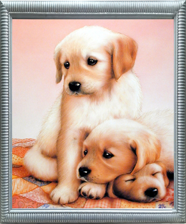 Impact Posters Gallery Cute Three Puppies Sleeping Dogs Kids Room Silver Framed Wall Decoration Picture Art Print (20x24)