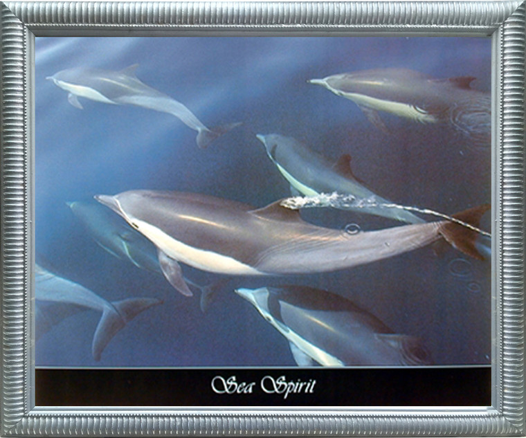 Impact Posters Gallery Dolphin Sea Spirit  Underwater Animal Home Silver Art Print Framed Wall Decor Picture