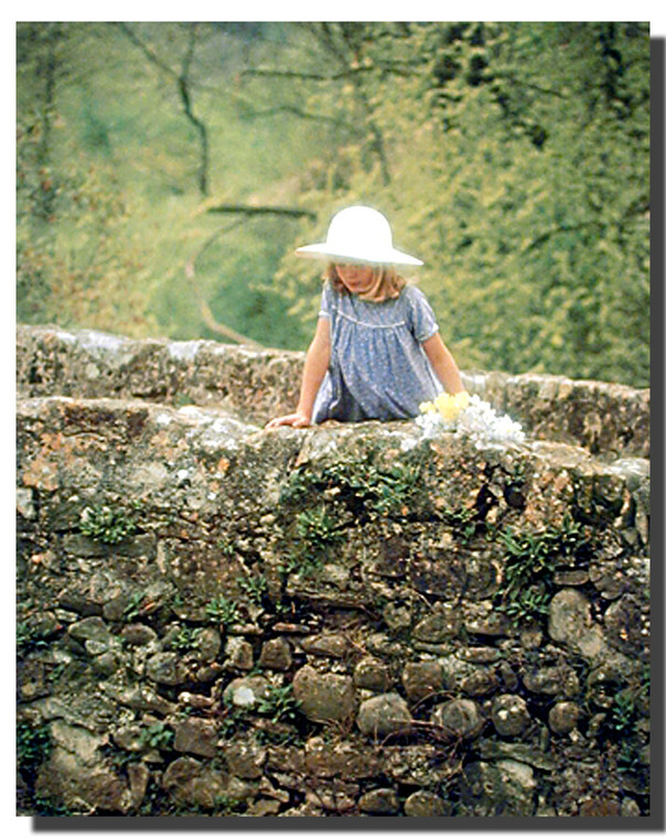 Girl on Stone Bridge Posters