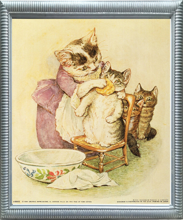 Framed Wall Decoration The Tale of Tom Kitten Beatrix Potter Kids Room Silver Art Print Picture (20x24)