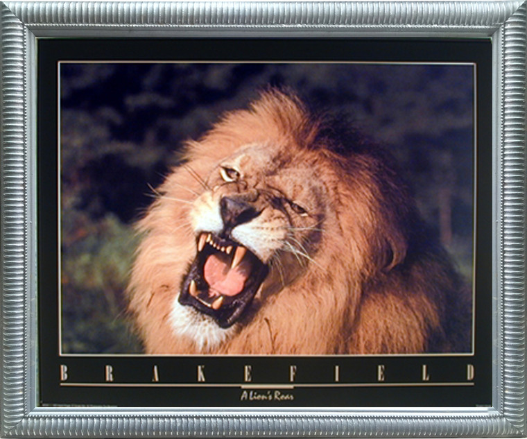 African Lion King Roar Close-up Wild Animal Wall Decor Silver Framed Art Print Picture