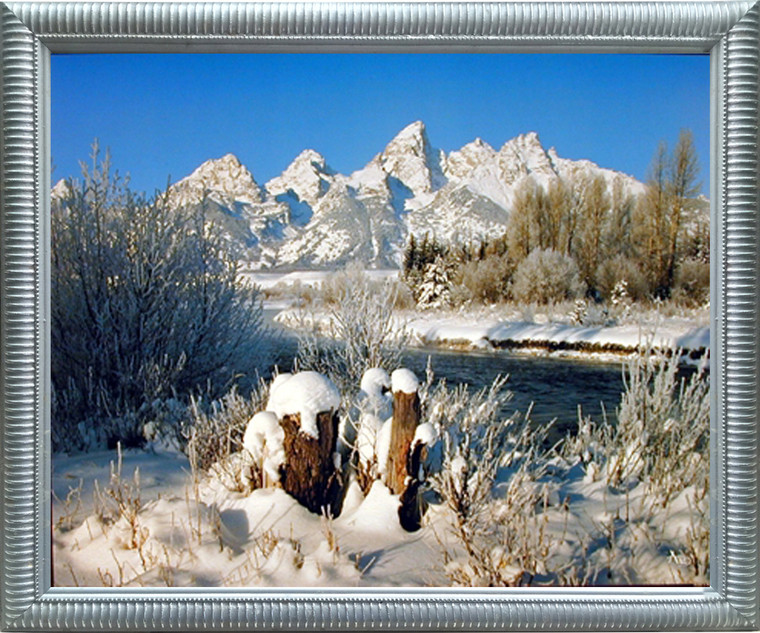 Snow Under Willow Tree Framed Wall Home Decor Grand Teton Covered Scenery Art Print Poster (16x20) (Silver)