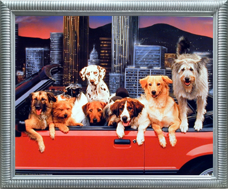 Impact Posters Gallery Dogs in Convertible Funny Animal Kids Room Wall Decor Silver Picture Framed Art Print