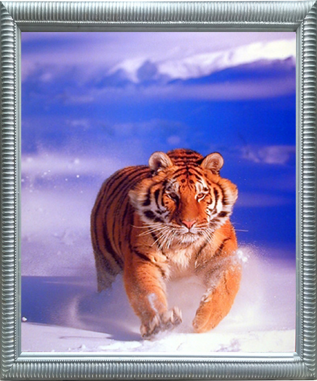Impact Posters Gallery Siberian Tiger in Snow Wildlife Animal Silver Art Print Framed Wall Decoration (20x24)
