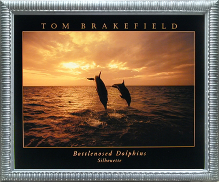 Impact Posters Gallery Bottlenose Dolphin Jumping at Sunset Silhouette Picture Silver Art Print Framed Wall Decoration (20x24)