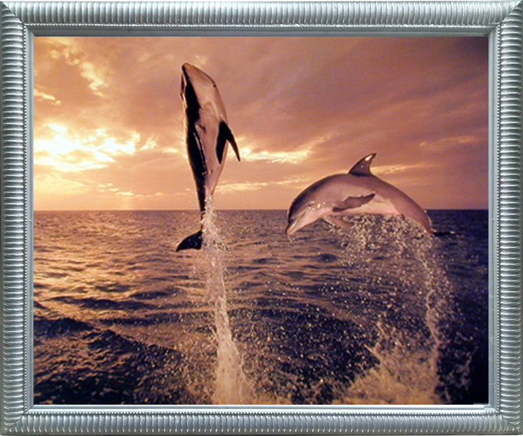 Impact Posters Gallery Freedom Dance Dolphin Animal Silver Art Print Framed Wall Decor Picture (20x24)